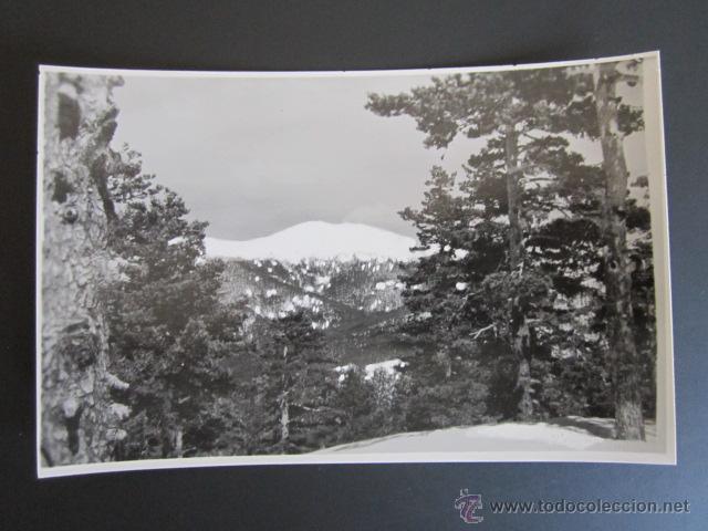 Postales: POSTAL MADRID. PUERTO DE NAVACERRADA. - Foto 1