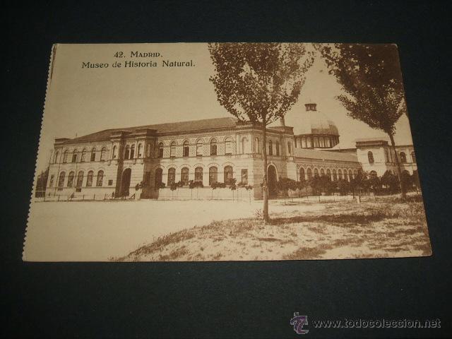 Postales: MADRID MUSEO DE HISTORIA NATURAL - Foto 1