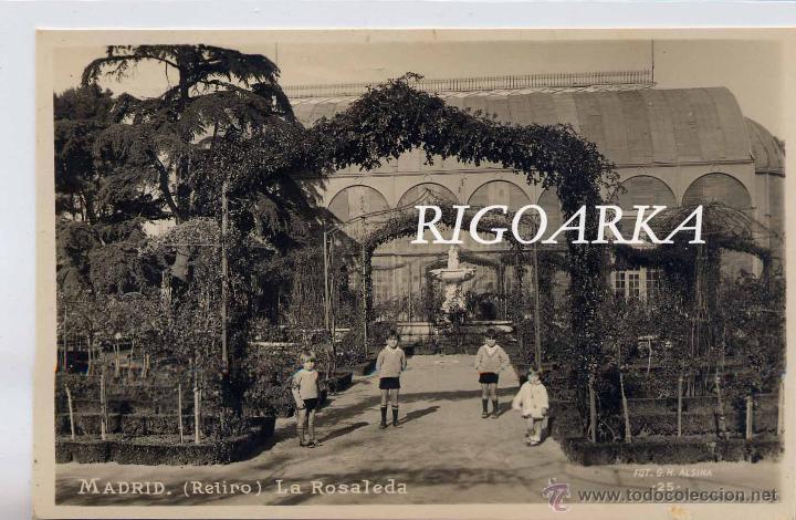 MADRID.- RETIRO.-LA ROSALEDA