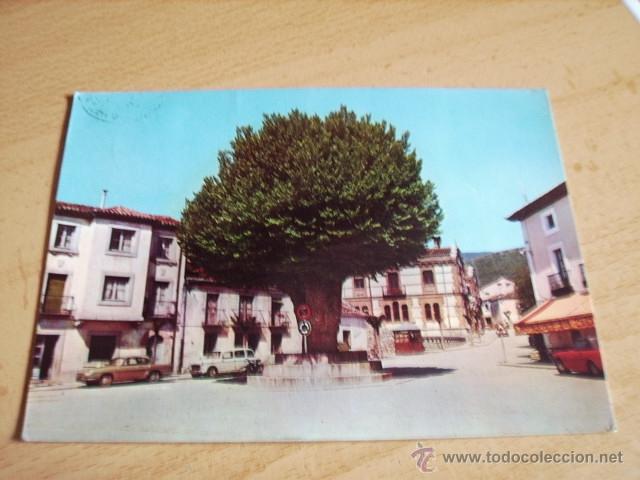 Postales: RASCAFRIA  ( MADRID )  OLMO DE LA PLAZA - Foto 1
