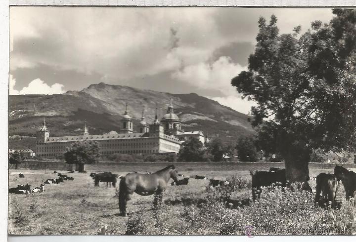 Postales: MADRID MONASTERIO DE EL ESCORIAL ESCRITA - Foto 1