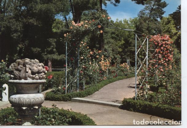 Postales: (86) MADRID. PARQUE DEL RETIRO. ROSALEDA - Foto 1
