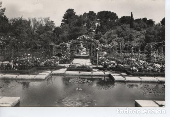 Postales: (77) MADRID. RETIRO. ROSALEDA - Foto 1