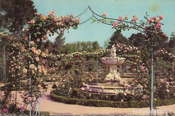 Postales: MADRID - PARQUE DEL RETIRO-ROSALEDA - Foto 1