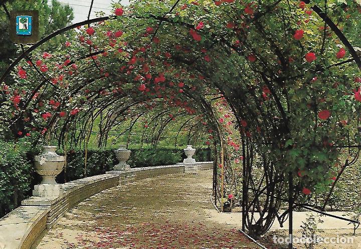 Postales: MADRID - ROSALEDA DEL PARQUE DEL OESTE - Foto 1