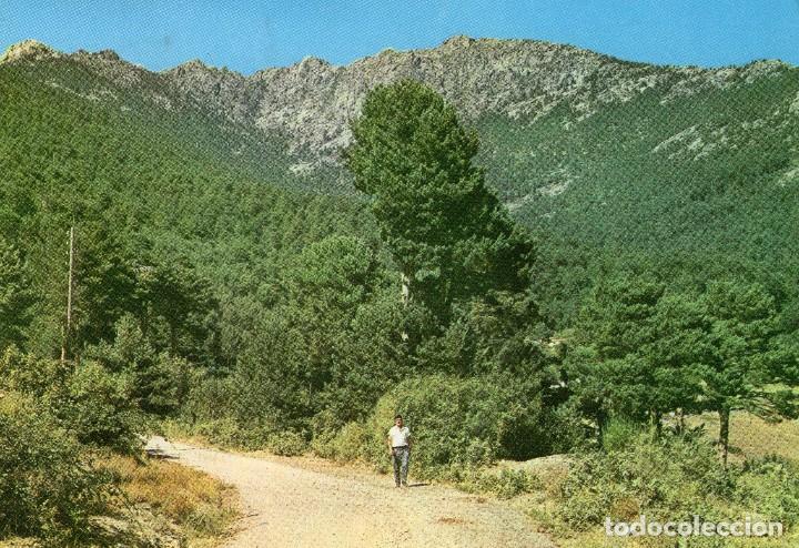 Postales: CERCEDILLA MADRID A&ntilde;O 1967 - Foto 1