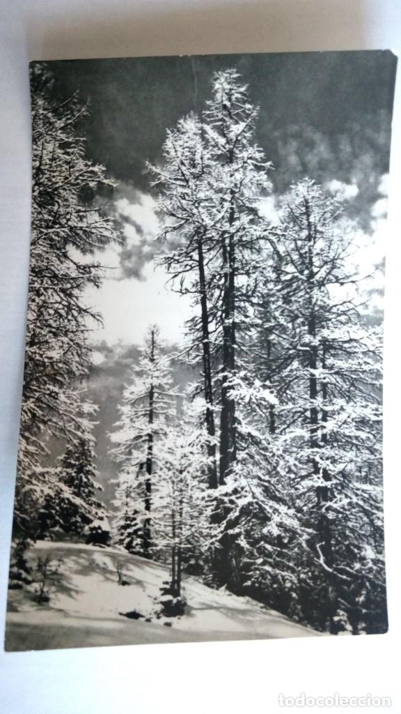 Postales: POSTAL MADRID, PUERTO DE NAVACERRADA - Foto 1