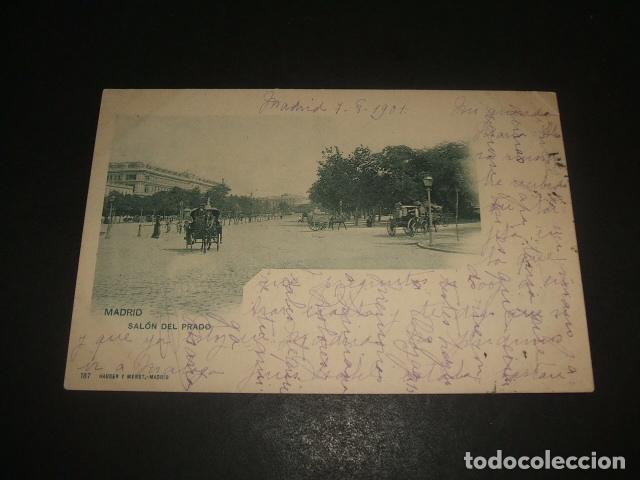Postales: MADRID SALON DEL PRADO - Foto 1
