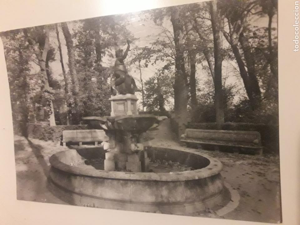Postales: Postal Aranjuez Jardin de la Isla - Foto 1