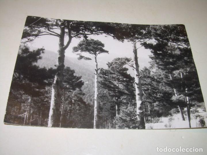 Postales: ANTIGUA POSTAL..........CERCEDILLA. - Foto 1