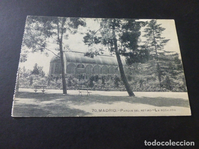 Postales: MADRID PARQUE DEL RETIRO LA ROSALEDA - Foto 1