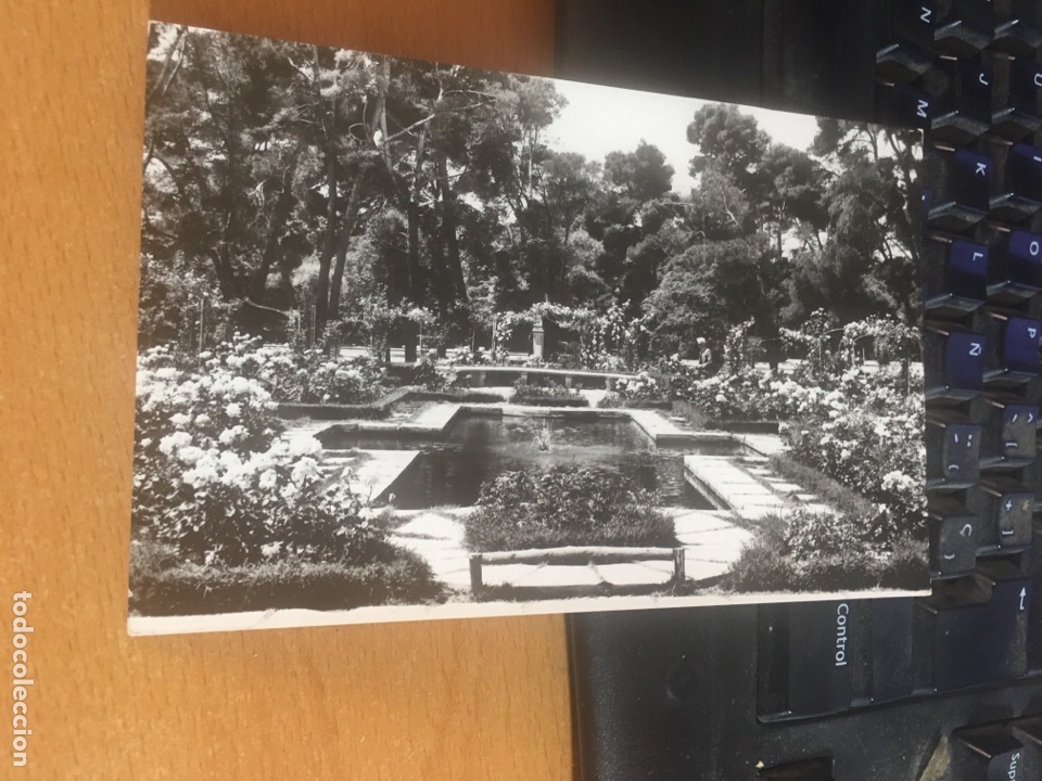 Postales: Madrid parque del Retiro la rosaleda - Foto 1