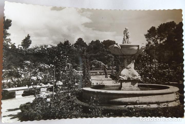 Postales: MADRID - Foto 1