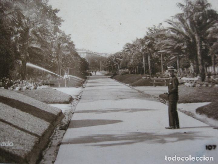 Postcards: MADRID-SALON DEL PRADO-FOTOGRAFICA-POSTAL ANTIGUA-(73.900)