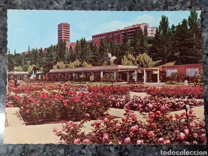 Postales: Postal de Madrid. Parque del Oeste. Rosaleda. - Foto 1