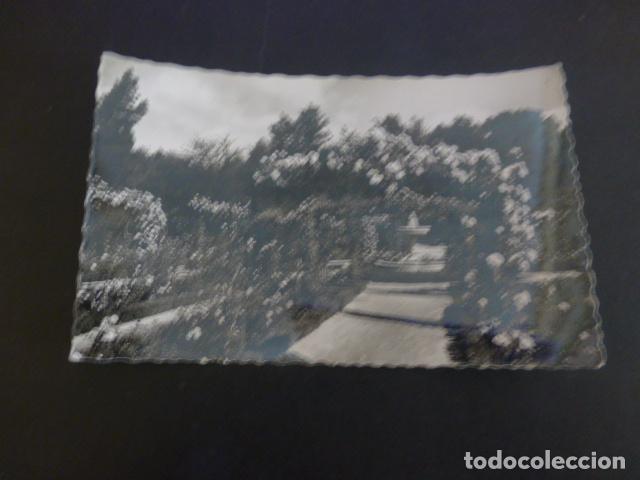 Postales: MADRID LA ROSALEDA DEL RETIRO - Foto 1