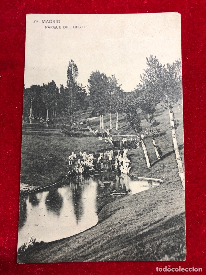 Postales: POSTAL 30.- MADRID: Parque del Oeste - Foto 1