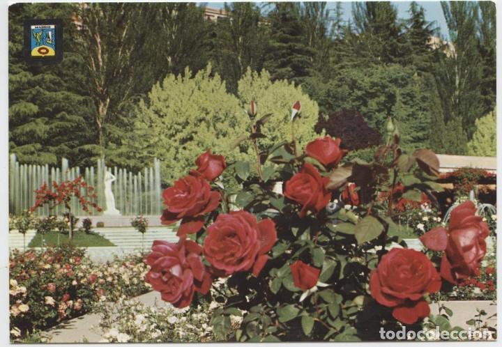 Postales: N&ordm; 25-MADRID. Parque del Oeste. Rosaleda. ED. DOM&Iacute;NGUEZ