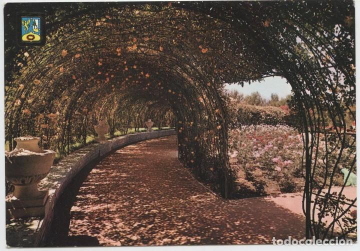 Postkarten: N&ordm; 34-MADRID. Parque del Oeste. Rosaleda. Sin circular. ED. DOM&Iacute;NGUEZ