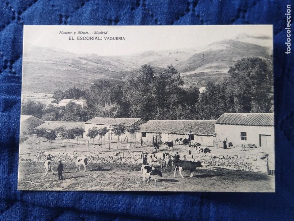 Postkarten: Hauser y Mente El Escorial. Vaqueria. Sin circular