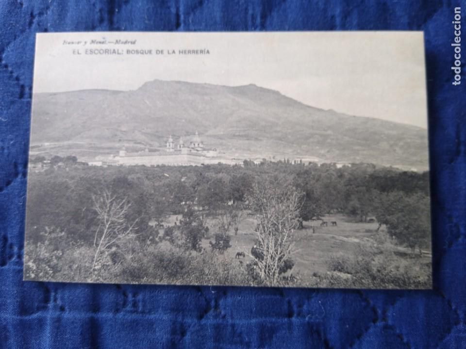 Postales: El Escorial. Bosque de la Herrer&iacute;a. Hauser y Menet