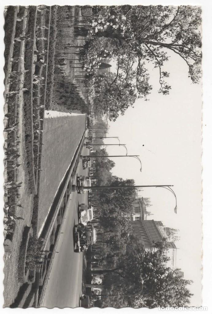 Cartes Postales: POSTAL- MADRID- PASEO DEL PRADO