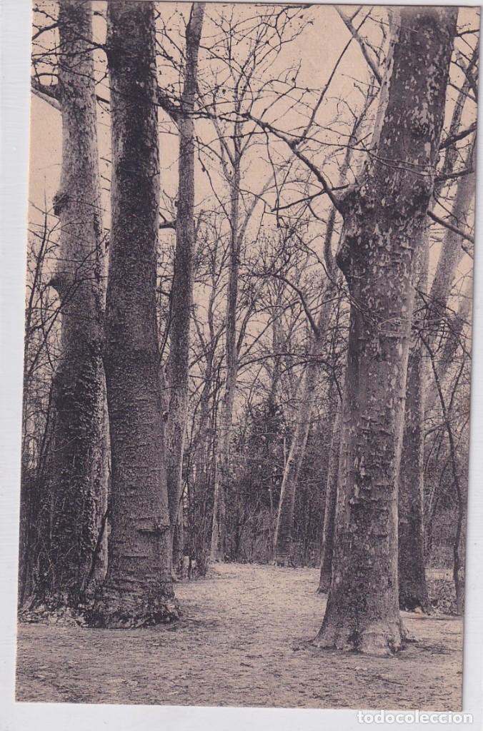 Postales: Aranjuez. Jard&iacute;n del Pr&iacute;ncipe H.A.E. Sin circular. - Foto 1