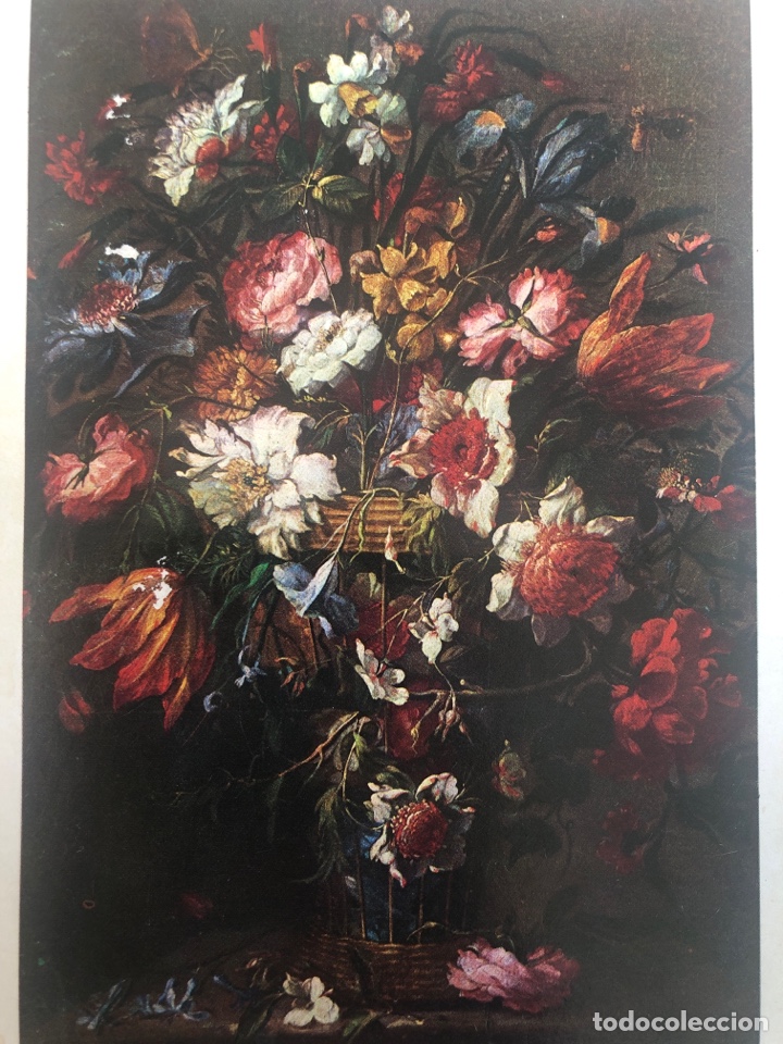 Postkarten: N&deg;51431 postal Arellano Florero