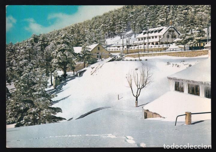 Cartoline: Puerto de Navacerrada. *Pinares y Hotel Arias* Ed. Vistabella n&ordm; 7. Nueva.