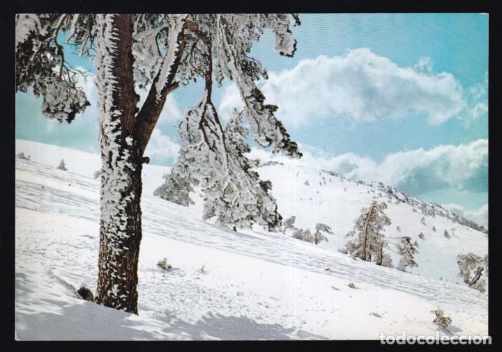 Cartoline: Puerto de Navacerrada. *Paisaje nevado* Ed. Vistabella n&ordm; 8. Nueva.