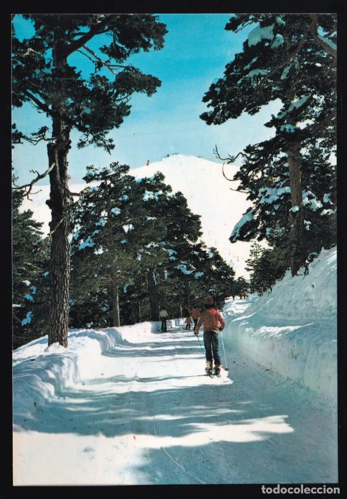 Postcards: Puerto de Navacerrada. *Camino Schmit. Fondo Alto Guarramillas* Ed. Vistabella n&ordm; 29. Nueva.
