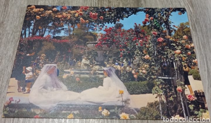 Cartoline: Rosaleda. Parque del Retiro