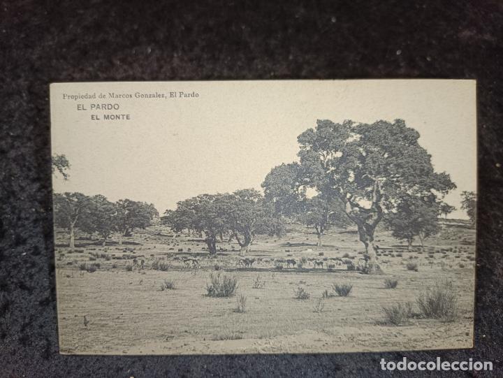 Postkarten: EL PARDO-EL MONTE-MARCOS GONZALEZ-HAUSER Y MENET-POSTAL ANTIGUA-(92.761)
