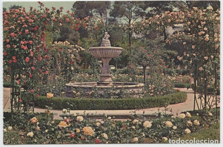 Postales: N&ordm; 103-MADRID. Rosaleda del Parque del Retiro. ED. BERGAS