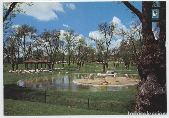 Postkarten: N&ordm; 186-MADRID. Zool&oacute;gico. Panor&aacute;mica con Flamencos. Sin circular. ED. DOM&Iacute;NGUEZ