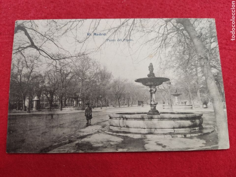 Postales: Madrid, postal Paseo del prado - Foto 1