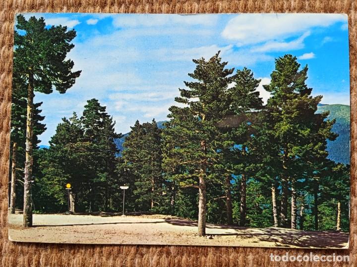 Postales: PUERTO DE NAVACERRADA - MADRID - ED VISTABELLA - Foto 1