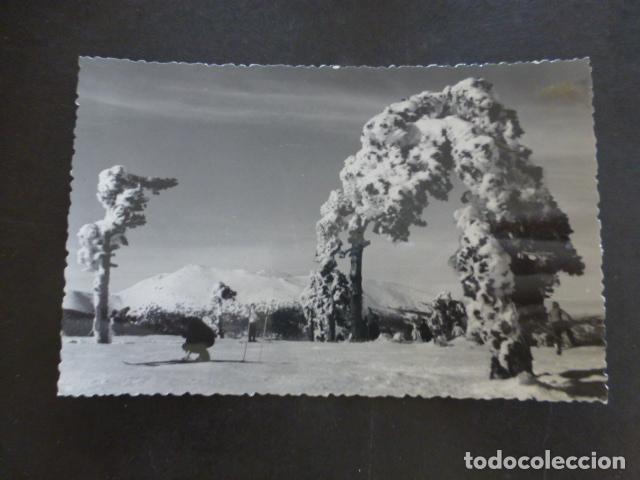 Postales: PUERTO DE NAVACERRADA MADRID VISTA - Foto 1