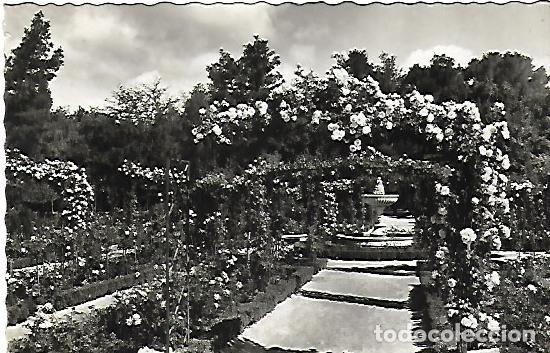 Postales: MADRID - PARQUE DEL RETIRO. LA ROSALEDA - CIRCULADA - Foto 1
