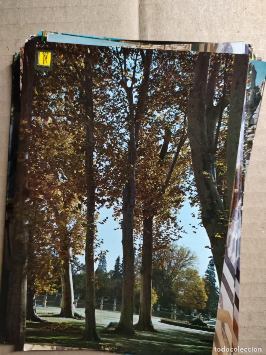 Postales: ARANJUEZ - JARDIN DE LA ISLA - Foto 1