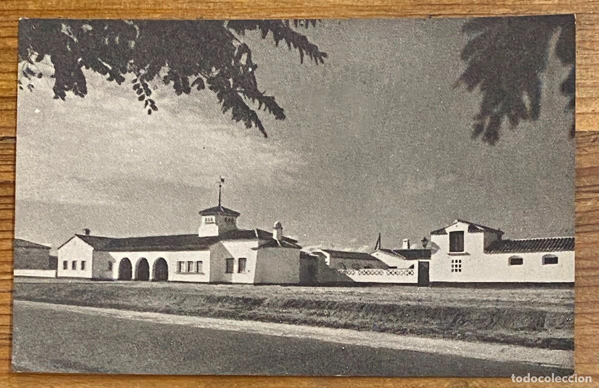 Postkarten: LAS ROZAS, DIRECCI&Oacute;N GENERAL DE REGIONES DEVASTADAS - SIN CIRCULAR