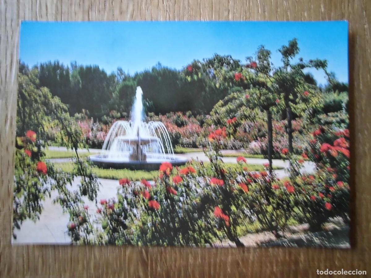 Postales: POSTAL MADRID LA ROSALEDA BEASCOA - Foto 1