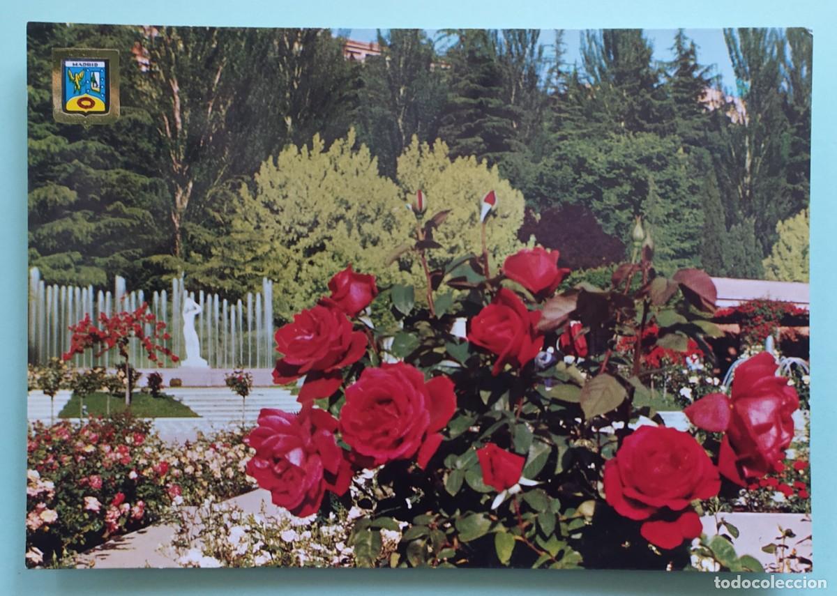 Postales: Madrid - Parque del Oeste, Rosaleda - Foto 1