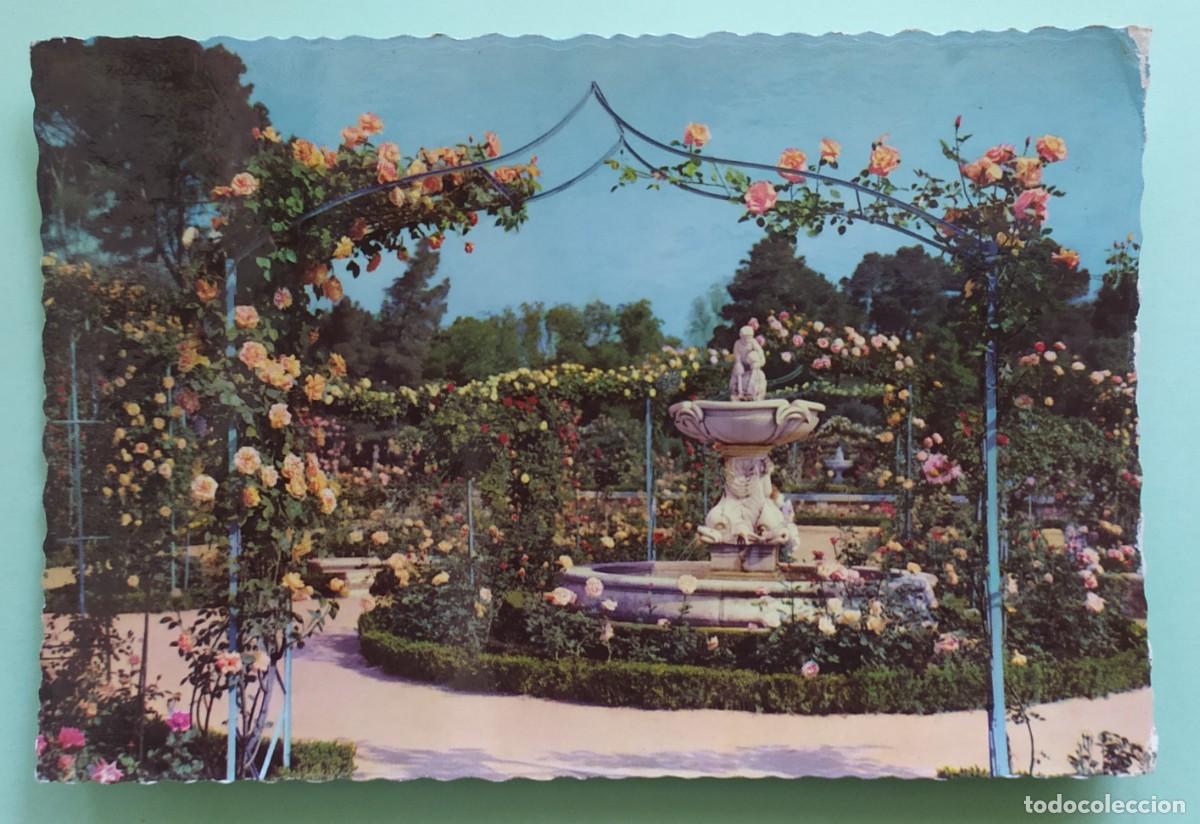 Postales: Madrid - Parque del Retiro. Rosaleda - Foto 1