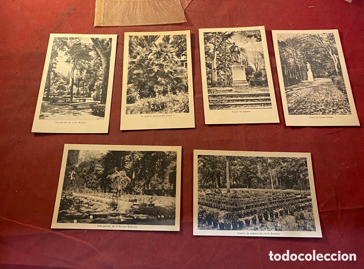 Postales: Jard&iacute;n bot&aacute;nico Madrid - Foto 1