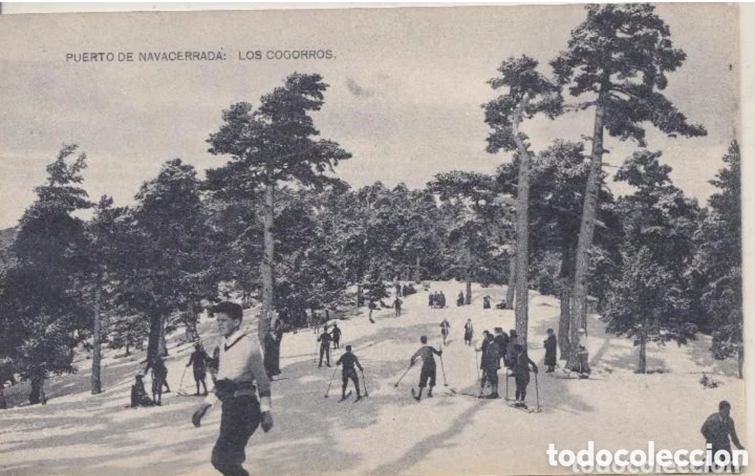 Postales: PUERTO DE NAVACERRADA (MADRID) - LOS COGORROS - Foto 1