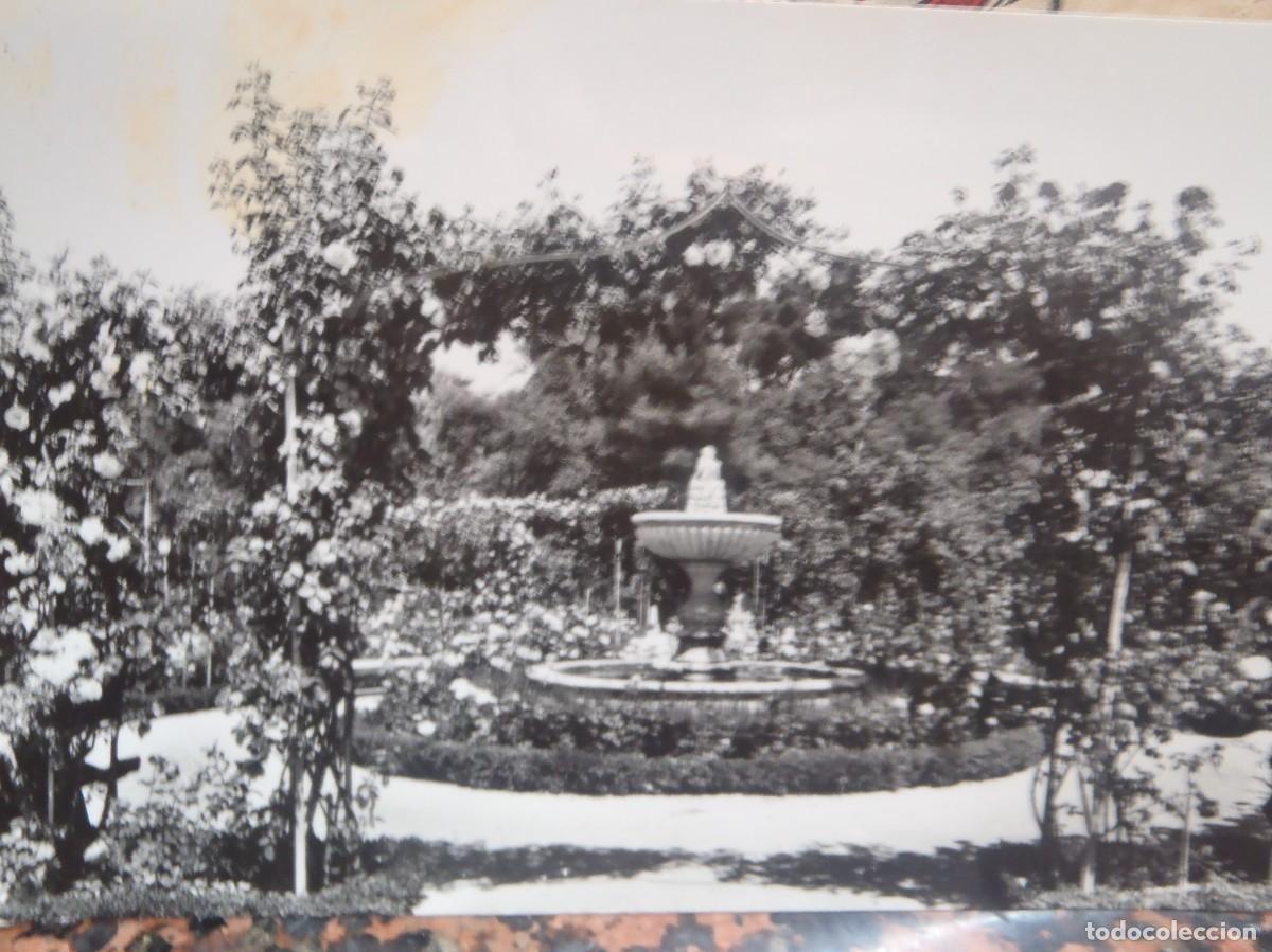 Postales: MADRID - PARQUE DEL RETIRO - Foto 1