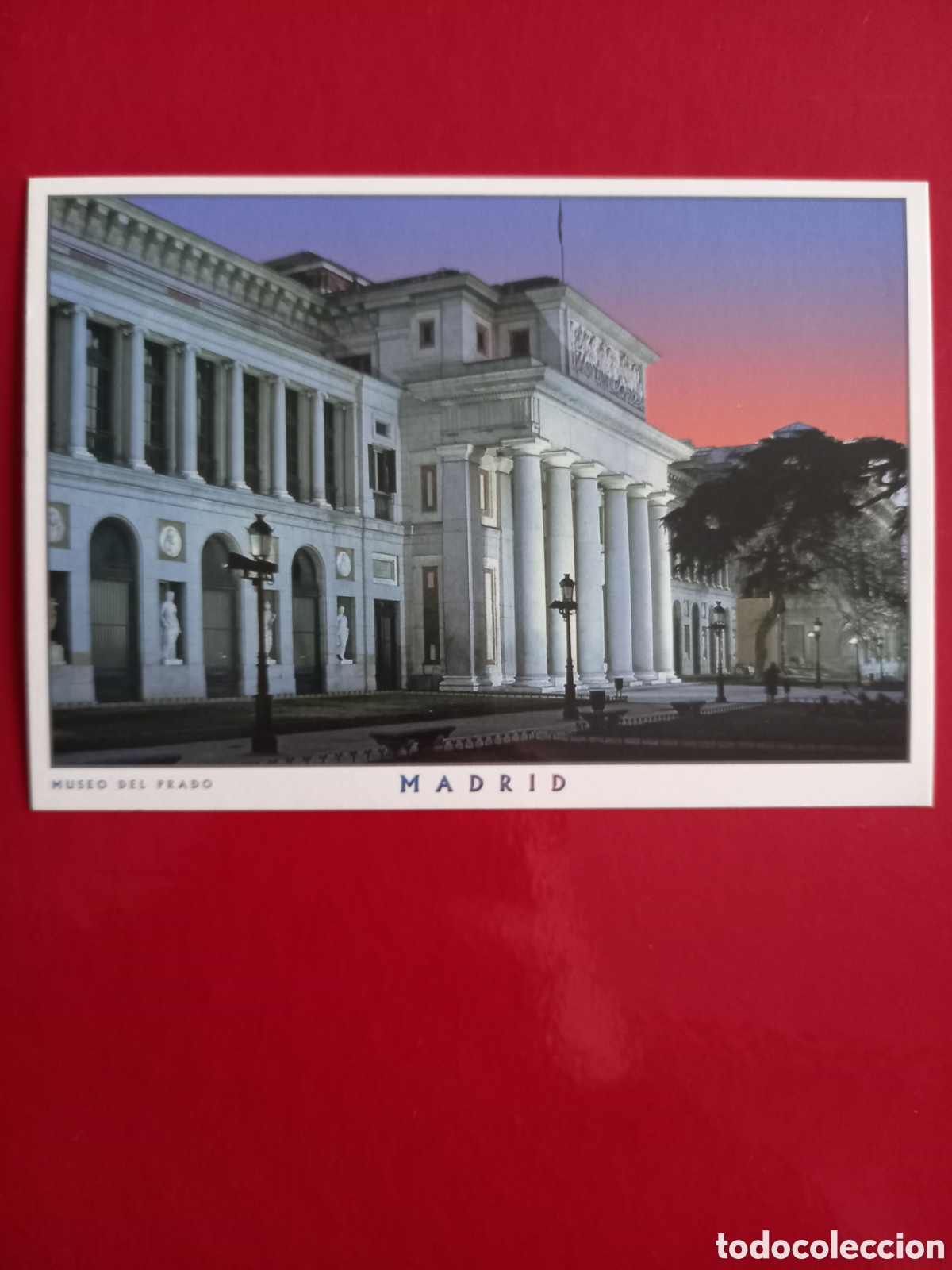 Postales: POSTAL SIN CIRCULAR - MADRID, MUSEO DEL PRADO - Foto 1