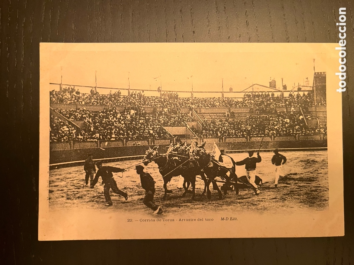 Postales: Lote cinco. Postales, corridas de toros - Foto 7