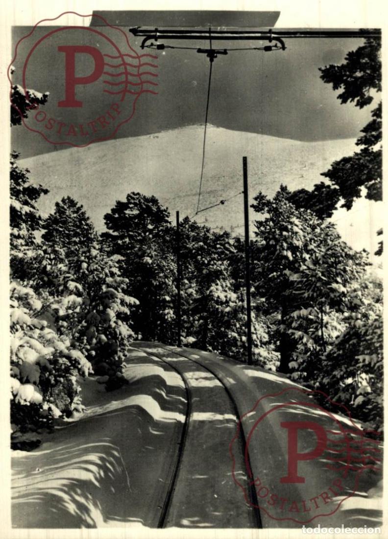 Postales: MADRID. NAVACERRADA. CAMINO DEL PUERTO. - Foto 1